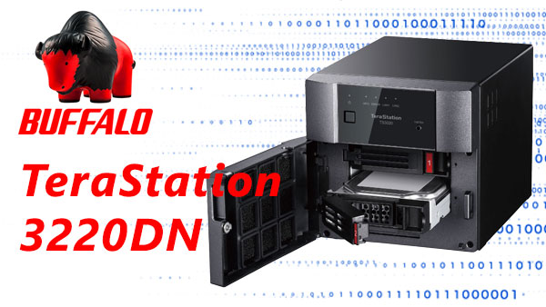 Buffalo TeraStation TS3220DN 2-Bay NAS Datenrettung — RAID 1/0 Fehler und DSM-Probleme beheben