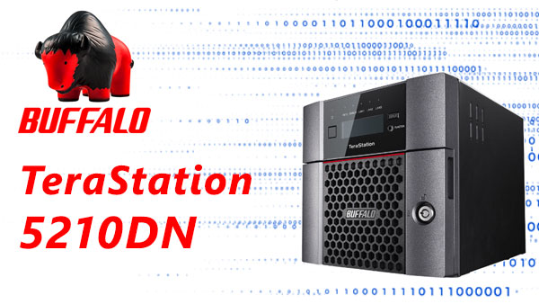 Buffalo TeraStation TS5210DN 2-Bay NAS Datenrettung | Professionell & Schnell