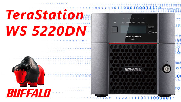 Buffalo TeraStation WS5220DN 2-Bay RAID-1/0 Datenrettung — Ursachen, Risiken, Lösungen