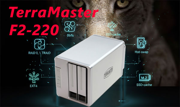TerraMaster F2-220 2-Bay RAID-1/0 Datenrettung — Ursachen, Risiken, Lösungen