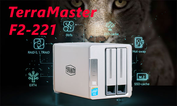 TerraMaster F2-221 2-Bay NAS Datenrettung — RAID 1/0 Fehler und DSM-Probleme beheben