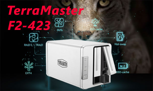 TerraMaster F2-423 2-Bay NAS Datenrettung — RAID 1/0 Fehler und DSM-Probleme beheben