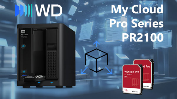 WD My Cloud Pro PR2100 2-Bay NAS Datenrettung — RAID 1/0 Fehler und DSM-Probleme beheben